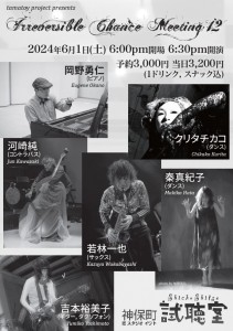 Irreversible Chance Meeting 12